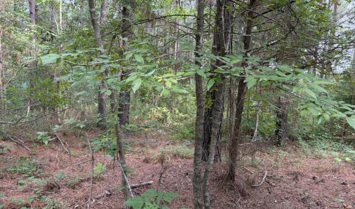 Photo #10 of Chatham Church, Moncure, NC 10.5 acres