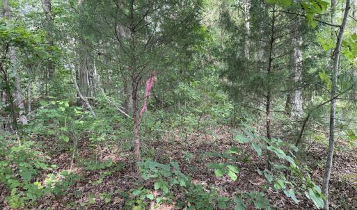 Photo #9 of Chatham Church, Moncure, NC 10.5 acres