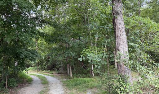 Photo #6 of Chatham Church, Moncure, NC 10.5 acres