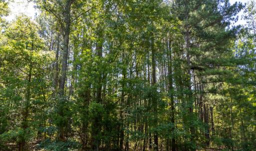 Photo #4 of 3132 Walters, Creedmoor, NC 11.4 acres