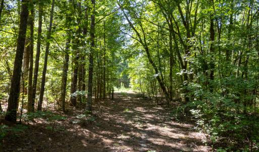 Photo #3 of 3132 Walters, Creedmoor, NC 11.4 acres