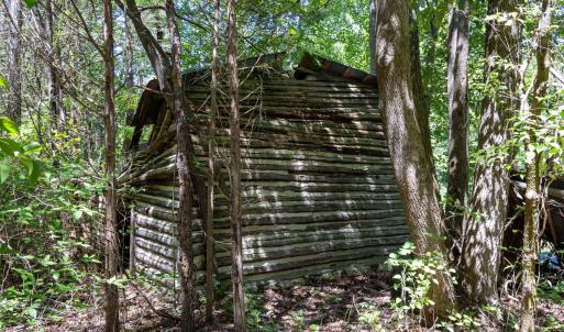 Photo #8 of 3132 Walters, Creedmoor, NC 11.4 acres