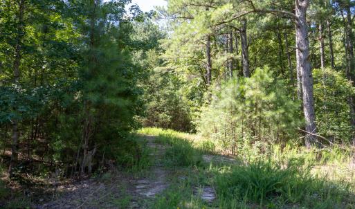 Photo #2 of 3132 Walters, Creedmoor, NC 11.4 acres