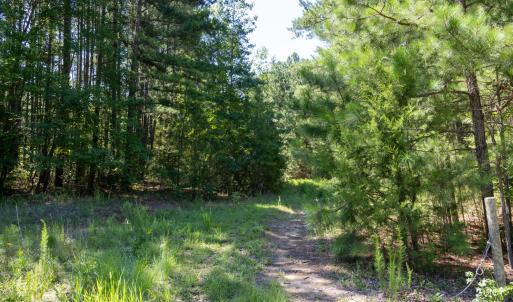Photo #1 of 3132 Walters, Creedmoor, NC 11.4 acres