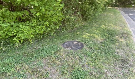 Photo #5 of 39 Thompson, Graham, NC 14.9 acres