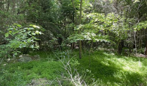 Photo #3 of 39 Thompson, Graham, NC 14.9 acres