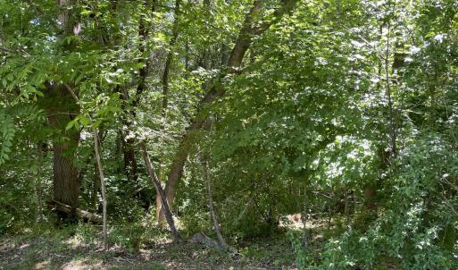 Photo #7 of 39 Thompson, Graham, NC 14.9 acres