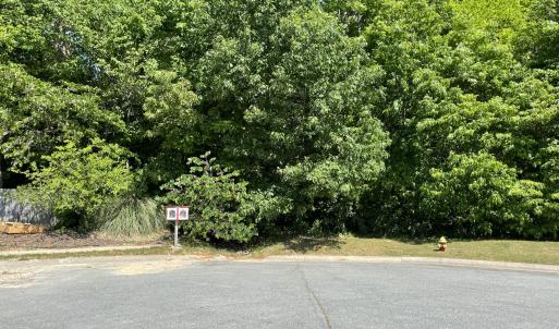 Photo #13 of 39 Thompson, Graham, NC 14.9 acres