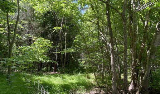 Photo #2 of 39 Thompson, Graham, NC 14.9 acres