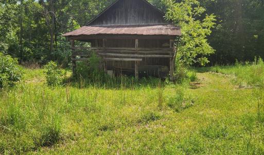 bradshaw 10