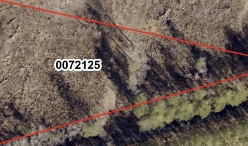 Photo #2 of Tbd Alston Horton Service, Pittsboro, NC 5.8 acres