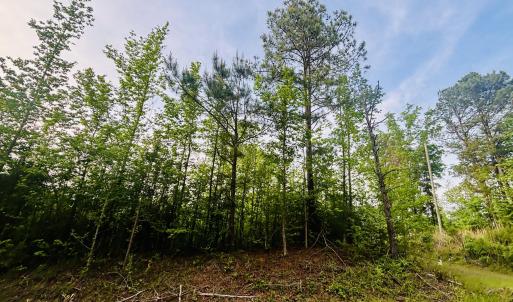 Photo #4 of Tbd Alston Horton Service, Pittsboro, NC 5.8 acres