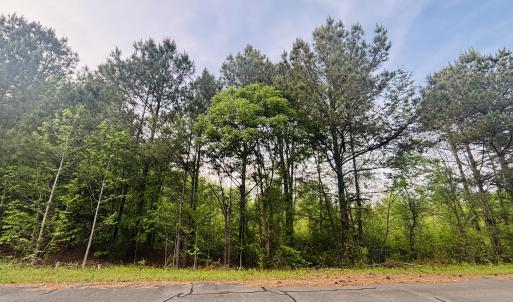 Photo #5 of Tbd Alston Horton Service, Pittsboro, NC 5.8 acres
