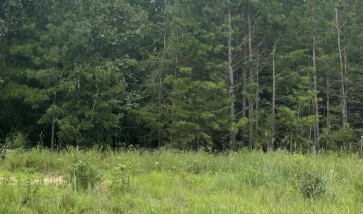 Photo #15 of Highway 49, Mebane, NC 8.2 acres
