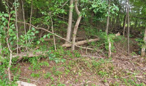 Photo #17 of Highway 49, Mebane, NC 8.2 acres