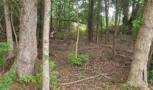 Photo #7 of Highway 49, Mebane, NC 8.2 acres