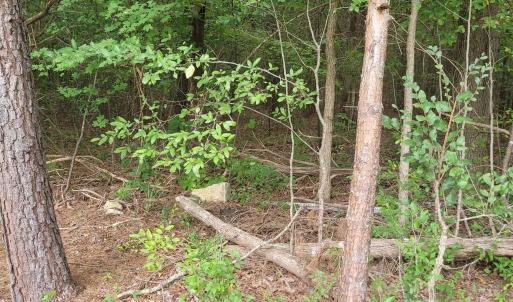 Photo #16 of Highway 49, Mebane, NC 8.2 acres