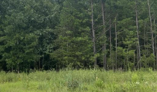 Photo #2 of Highway 49, Mebane, NC 8.2 acres