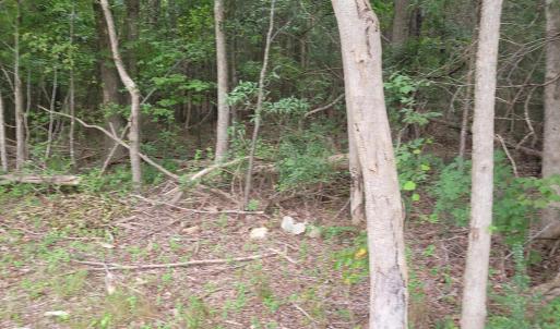 Photo #9 of Highway 49, Mebane, NC 8.2 acres