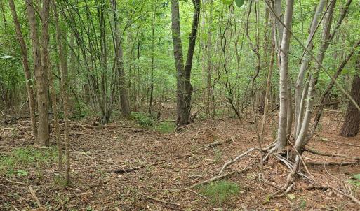 Photo #19 of Highway 49, Mebane, NC 8.2 acres