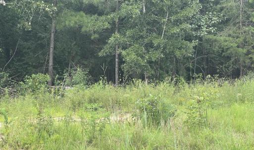 Photo #8 of Highway 49, Mebane, NC 8.2 acres