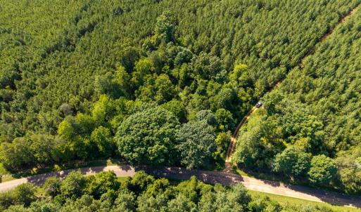 Photo #3 of 7113 Shep Royster, Oxford, NC 1.1 acres