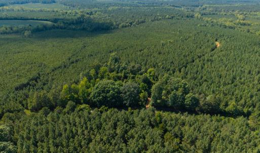 Photo #4 of 7113 Shep Royster, Oxford, NC 1.1 acres