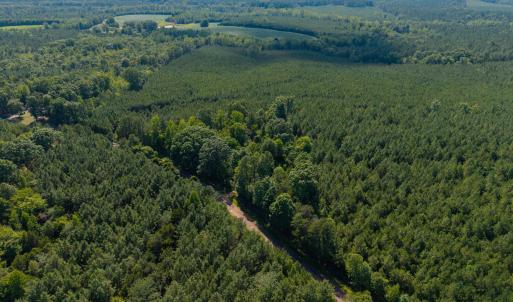 Photo #5 of 7113 Shep Royster, Oxford, NC 1.1 acres