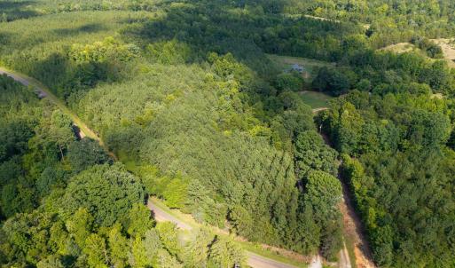Photo #5 of 7110 Shep Royster, Oxford, NC 6.4 acres