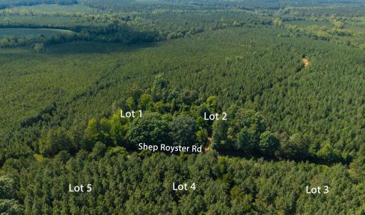 Photo #4 of 7110 Shep Royster, Oxford, NC 6.4 acres