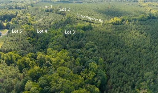 Photo #3 of 7110 Shep Royster, Oxford, NC 6.4 acres
