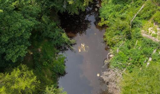 Photo #8 of 935 Vernie Phillips, Bear Creek, NC 32.1 acres