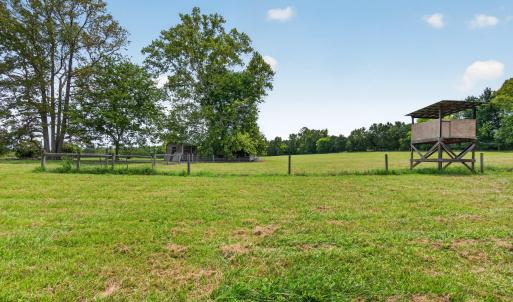 Photo #14 of 935 Vernie Phillips, Bear Creek, NC 32.1 acres