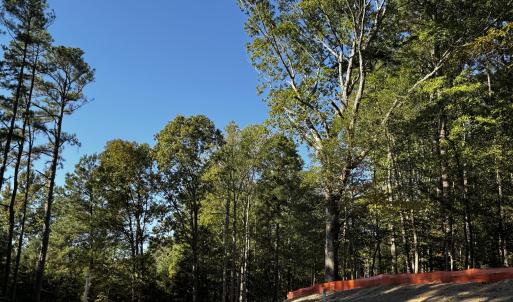 Photo #8 of 140 Noble Reserve, Pittsboro, NC 5.8 acres