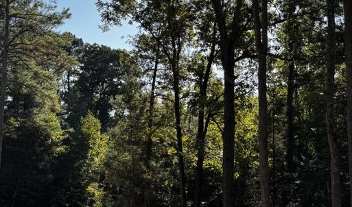Photo #4 of 140 Noble Reserve, Pittsboro, NC 5.8 acres