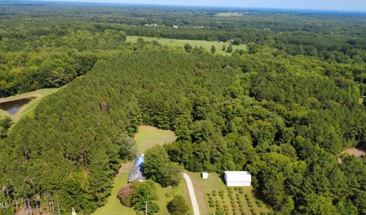 Photo #3 of Bahama, Rougemont, NC 23.0 acres