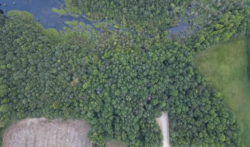 Photo #2 of 4 Quiet Time, Zebulon, NC 5.2 acres
