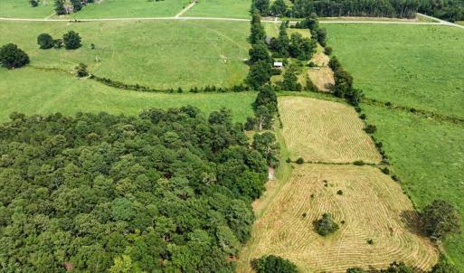 Photo #60 of 147 Carl Johnson, Snow Camp, NC 25.6 acres