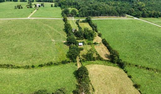 Photo #58 of 147 Carl Johnson, Snow Camp, NC 25.6 acres