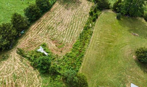 Photo #63 of 147 Carl Johnson, Snow Camp, NC 25.6 acres