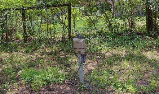 Photo #45 of 147 Carl Johnson, Snow Camp, NC 25.6 acres