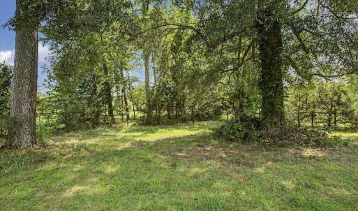 Photo #48 of 147 Carl Johnson, Snow Camp, NC 25.6 acres