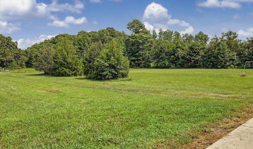 Photo #40 of 147 Carl Johnson, Snow Camp, NC 25.6 acres
