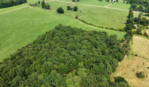 Photo #64 of 147 Carl Johnson, Snow Camp, NC 25.6 acres