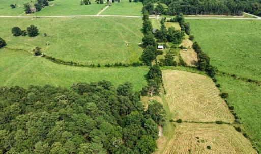 Photo #59 of 147 Carl Johnson, Snow Camp, NC 25.6 acres