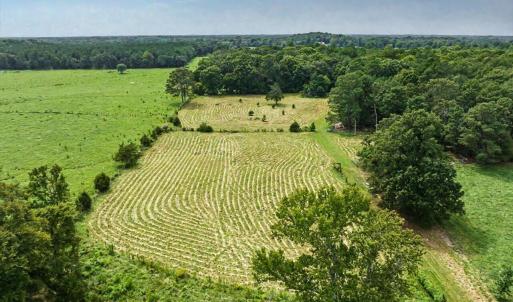 Photo #62 of 147 Carl Johnson, Snow Camp, NC 25.6 acres