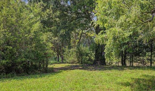 Photo #53 of 147 Carl Johnson, Snow Camp, NC 25.6 acres
