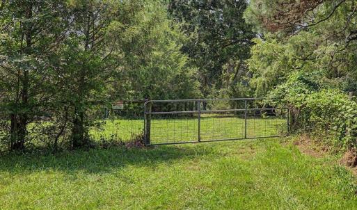 Photo #49 of 147 Carl Johnson, Snow Camp, NC 25.6 acres