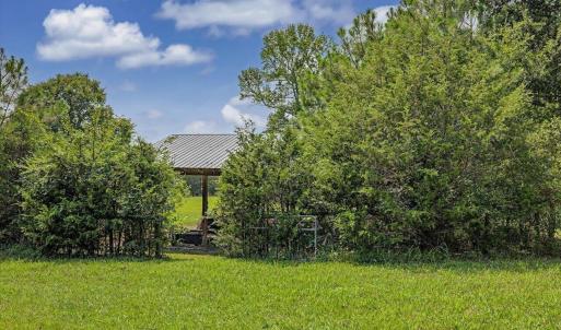 Photo #50 of 147 Carl Johnson, Snow Camp, NC 25.6 acres