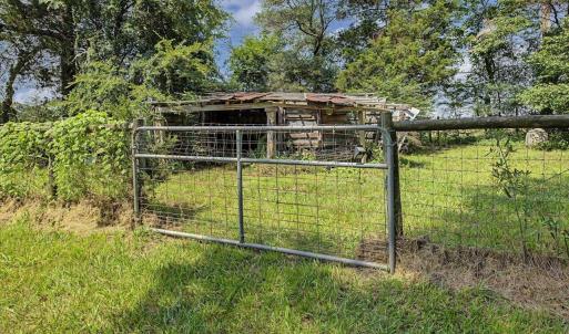 Photo #46 of 147 Carl Johnson, Snow Camp, NC 25.6 acres